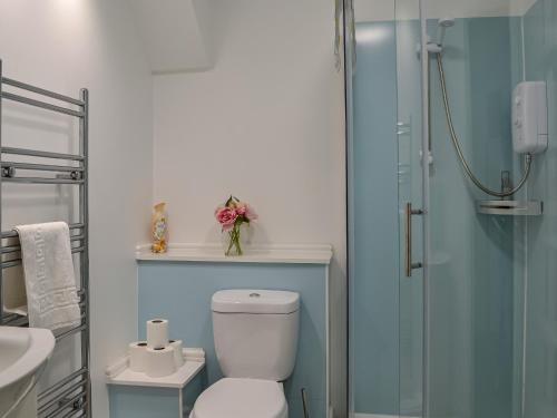 a bathroom with a toilet and a glass shower at The Granary - Uk45181 in Newcastleton
