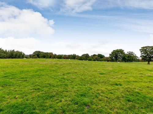 a field of green grass with trees in the background at Garth House - Castlesteads in Brampton