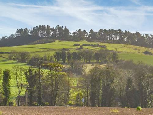 a green field with trees and a hill in the background at Buckland Lodge in Pentridge