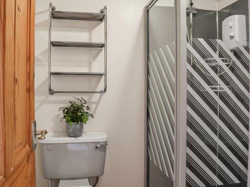 a bathroom with a toilet with a plant on it at The Granary - Uk45181 in Newcastleton