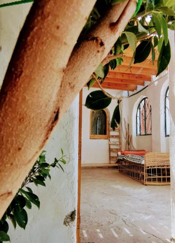 Gambar di galeri bagi HabuHeritageHomeStayInLuxor di Al Aqālitah