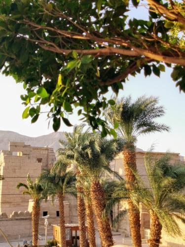 Gambar di galeri bagi HabuHeritageHomeStayInLuxor di Al Aqālitah