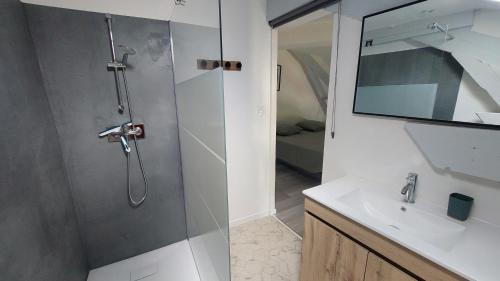 a bathroom with a shower and a sink at Gite de la chateliere in Donzère