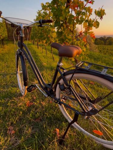 a bike parked in the grass in a field at Your Italian Home in San Pietro in Cariano
