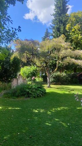 a tree in the middle of a yard with green grass at Ferienwohnung Vroni - Hochzoll Süd in Augsburg