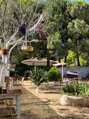 Κήπος έξω από το Kumbağ Otel