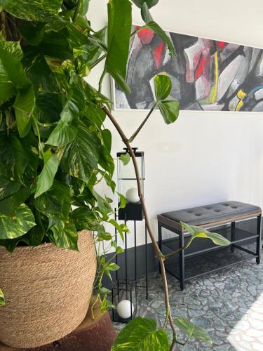 a plant in a pot next to a bench at LoftDesign in Verona