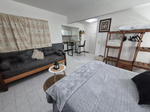 a living room with a bed and a couch at Dpto en calle Mitre pleno centro in San Carlos de Bariloche