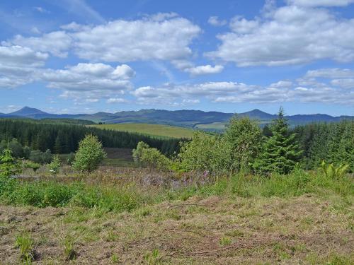 a view of a field with trees and mountains at The Coach House in Birnam