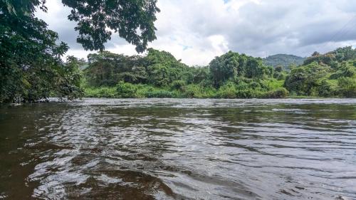vistas a un río con árboles en el fondo en River Resort Kitulgala, en Kitulgala