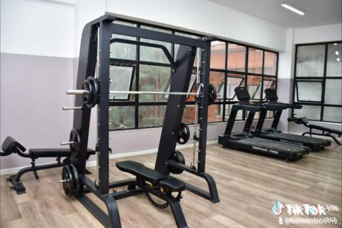 Fitness centrum a/nebo fitness zařízení v ubytování Indesign makumbi Apartment