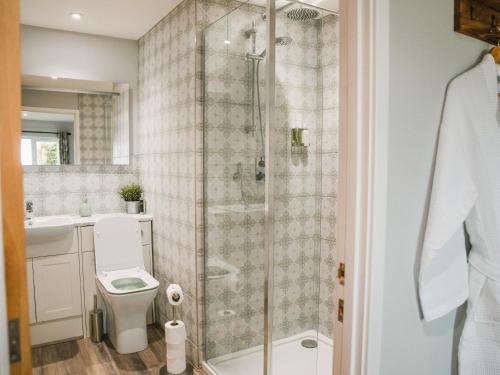 a bathroom with a shower with a toilet and a sink at Swallow Lodge - Uk42540 in Winforton