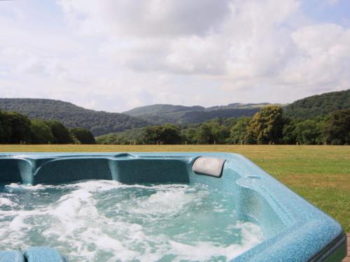 a jacuzzi tub with a view of a field at Cider Mill Lodge - Hw7420 in Tintern