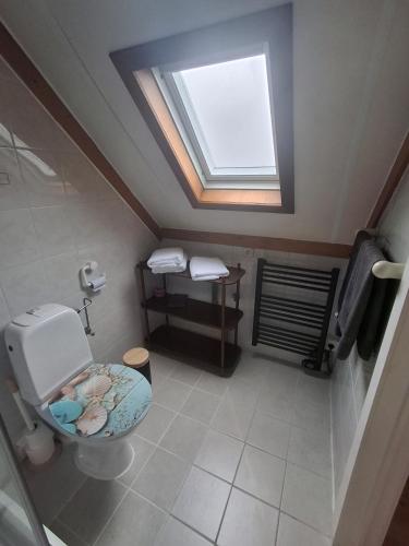 a bathroom with a toilet and a skylight at De Zeebries in De Haan