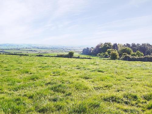a field of green grass with trees in the distance at Whitey Top Country Lodge in Pentridge
