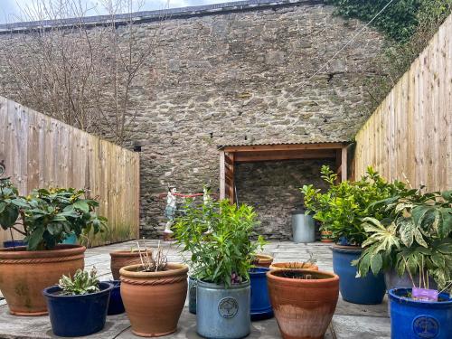a group of potted plants in front of a building at Cosy Cwtch in Hay-on-Wye