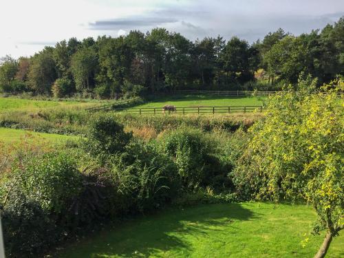a horse in a field with a fence at Orchard House in Baconsthorpe