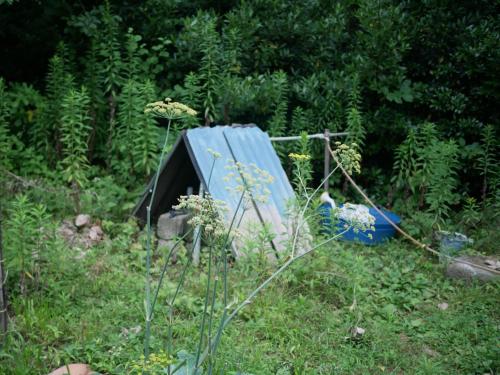 a tent sitting in the middle of a garden at Mettavasi in Kutaisi