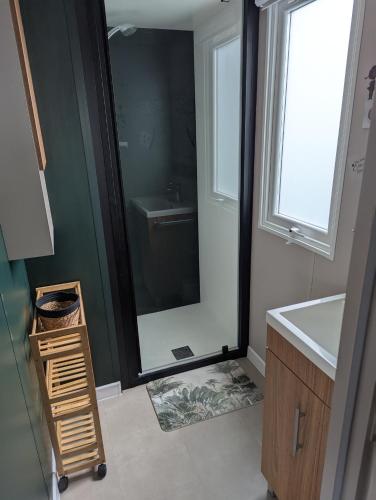 a bathroom with a sink and a mirror at Camping les charmettes in Les Mathes