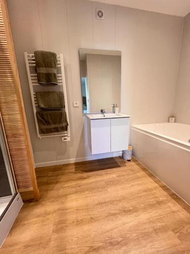 a bathroom with a sink and a tub and a mirror at La suite de cœurs avec jacuzzi in Gradignan