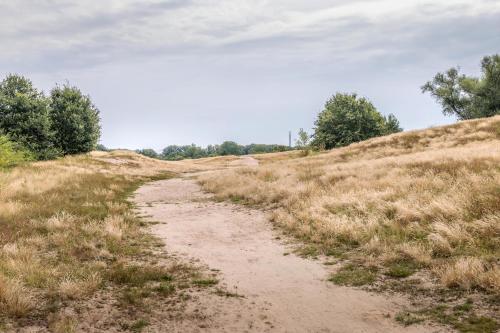a dirt road in a field of grass at Haus Seestern in Kalkar