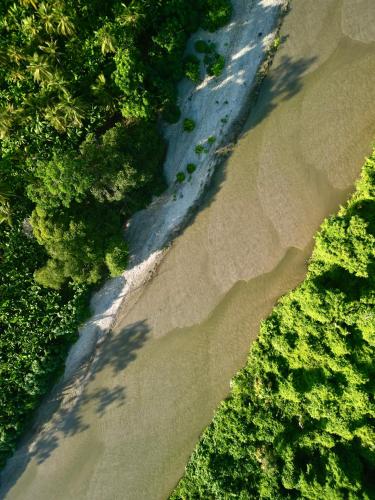 an aerial view of a river next to a forest at Nómada Tayrona Boutique Glamping in Santa Marta