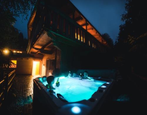 Visionshüttendorf Sellrain