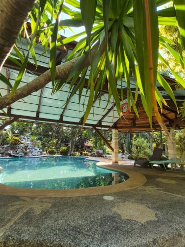 Bazén v ubytování ALONALAND RESORT nebo v jeho okolí