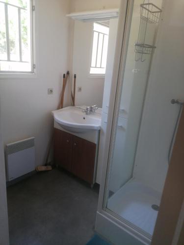 a bathroom with a sink and a shower at Le petit paradis in Soustons