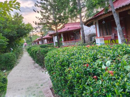 a path in front of a house with bushes at Gate way resort in Purbbadulki