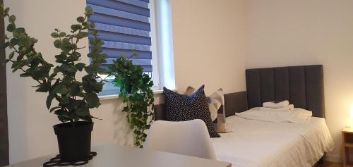 a bedroom with a bed and a window with plants at VESTA Apartamenty M52 Free parking in Szczecin