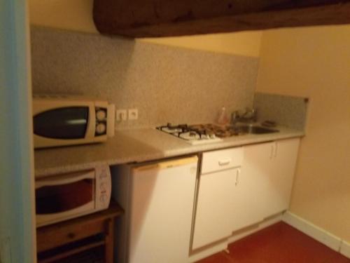 Una pequeña cocina con microondas y estufa. en Domaine d'Harlot, en Saint-Éloi