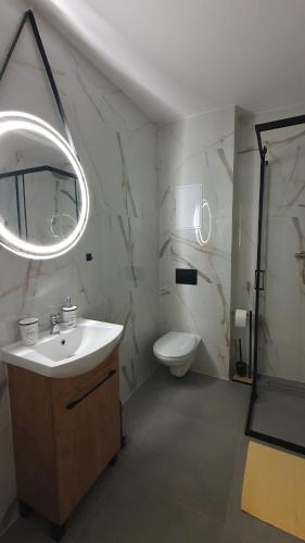 a bathroom with a sink and a toilet and a mirror at VESTA Apartamenty M52 Free parking in Szczecin
