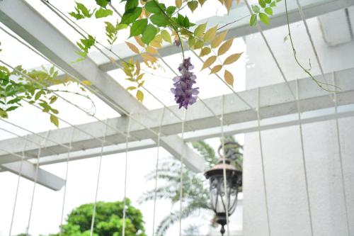 Ein Garten an der Unterkunft Hasayaki Homestay