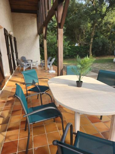 a patio with tables and chairs and a potted plant at Hossegor, Maison Familiale Intergénérationnelle , Quartier Calme et Résidentiel in Hossegor