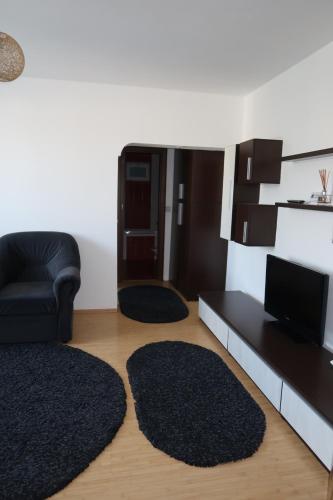 a living room with a couch and two rugs at Apartment Centrul Vechi-English Park in Craiova