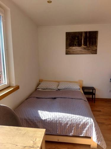 a bedroom with a bed in a room at Apartament Pod Lipami in Hajnówka