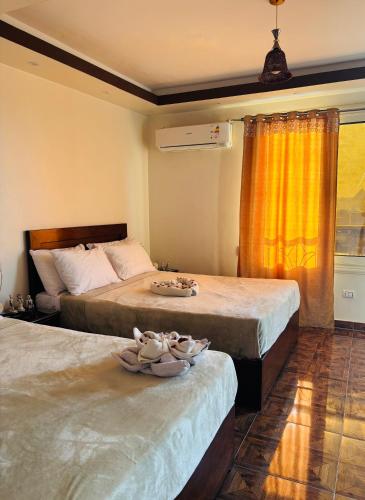 a bedroom with two beds and a window at Giza Pyramids View Guest House in Cairo