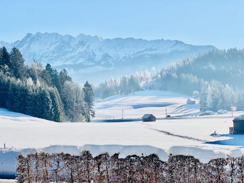 a snow covered field with trees and mountains in the background at Ferienhaus Angerer in Obersdorf