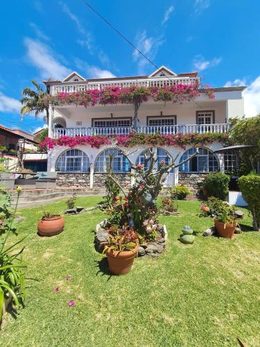 a house with plants in front of it at Apartments Vista Oceano in Funchal