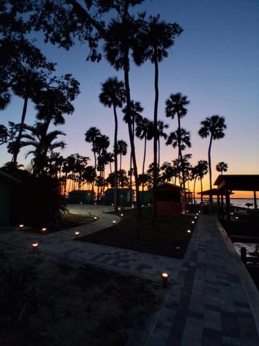 Un camino con velas y palmeras al atardecer. en The Bungalows on Lake Griffin, en Leesburg
