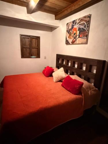 a bedroom with a bed with red pillows on it at Hotel del Pozo in San Sebastián del Oeste