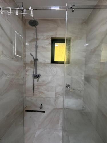 a shower with a glass door in a bathroom at Vila Sava with Pool & Jacuzzi and House Boat in Belgrade