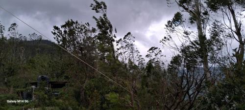 Fotografie z fotogalerie ubytování VIEWPOINT VILLA - Mandaramnuwara v destinaci Mandaran Newara