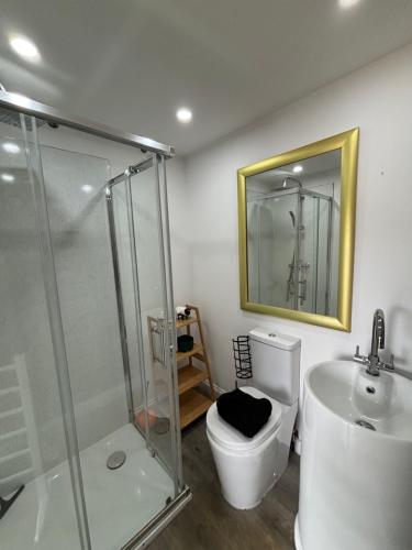 Ένα μπάνιο στο Goldings detached Barn farm stay