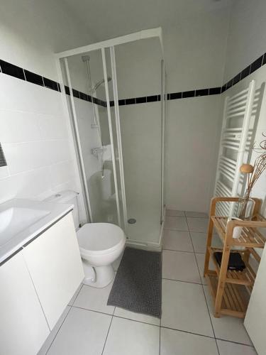 a white bathroom with a shower and a toilet at MOINES - Centre historique de charme in Vannes