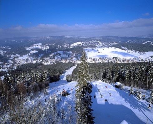 Paesaggio naturale nelle vicinanze dell'affittacamere