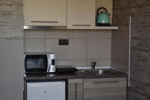 Кухня или мини-кухня в Mantera Apartmani

