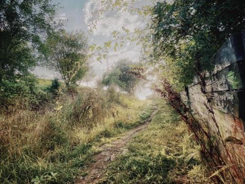 a painting of a dirt road in a field at 4 person holiday home in HUDDINGE-By Traum in Huddinge