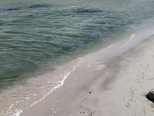 a beach with the ocean and the shoreline at 3 person holiday home in HUNVIGAN-By Traum in Höllviken